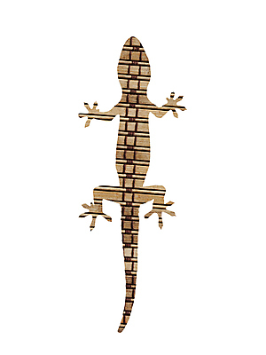 포토 JPG 해외이미지 동물 척추동물 야생동물 파충류 자연 생물 사람없음 목재 흰색 자르기 꼬리 도마뱀 발가락 고립 해외202004 해외포토 나무 컬러 재료 모션 발 생태계 파일형식 이미지허브