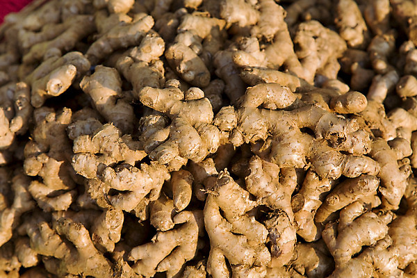 포토 JPG 해외이미지 전통 음식 채소 재료 자연 건조 건강 요리 동양인 사람없음 햇빛 약 노란색 상점 신선 뜨거움 양념 조미료 거친 시장 맛 인도인 허브 향신료 유기농 매움 아로마 뿌리 향료 향 아로마테라피 생강 동쪽 흙더미 연소 마살라 이국적 해외202004 해외포토 외국인 식물 웰빙 컬러 컨셉 의학 인종 태양 흙 방향 생태계 향기 냄새 테라피 향미료 파일형식 더미 이미지허브