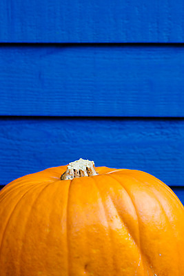 포토 JPG 해외이미지 계절 줄기 백그라운드 잎 농업 채소 오렌지 재료 벽지 호박 종류 3 사람없음 목재 초록색 파란색 컬러풀 노란색 우주 정원 여러개 공백 미니어처 할로윈 수확 가을 시골 신선 닫기 맛 작음 수집 에코 유기농 날것 도토리 모음 스쿼시 채식주의자 규칙적 해외202004 해외포토 나무 식물 웰빙 산업 스포츠 컬러 다수 컨셉 과일 모션 구기 모형 환경 견과류 크기 채식 파일형식 이미지허브
