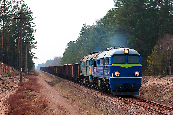 포토 JPG 해외이미지 교통시설 풍경 사람없음 야외 가로 여름 햇빛 환경 힘 기차 화물 시골 숲 광택 무거움 폴란드 선로 해외202004 해외포토 계절 유럽 육상교통 교통 대중교통 태양 운송업 무게 시설 파일형식 이미지허브