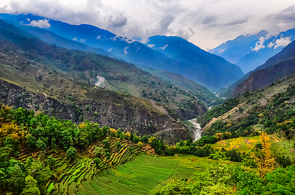 포토 JPG 해외이미지 나무 식물 전통 아시아 음식 여행 백그라운드 잎 패턴 밭 농업 태국 자연 밥 산 풍경 사람없음 야외 초록색 여름 농작물 농장 농경지 환경 계곡 수확 시골 땅 시리얼 언덕 베트남 발리 네팔 내추럴 밭일 해외202004 해외포토 계절 나라 산업 컬러 섬 무늬 동남아시아 생태계 인도네시아 파일형식 이미지허브