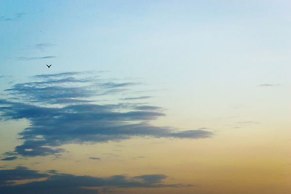 포토 JPG 해외이미지 구름 디자인 백그라운드 컨셉 오렌지 자연 벽지 하늘 아침 날씨 추상 산 미술 풍경 경사 사람없음 그래픽 여름 파란색 빛 컬러풀 햇빛 일출 어둠 희망 침묵 황혼 일몰 새벽 기쁨 덮개 분위기 저녁 언덕 부드러움 격려 천국 파열 감탄 파라다이스 파스텔톤 미니멀 해외202004 해외포토 주간 자연요소 계절 감정 컬러 무늬 과일 모션 문화예술 태양 노을 소리 뚜껑 감각 야간 생태계 파일형식 이미지허브