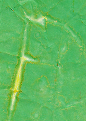 포토 JPG 해외이미지 디자인 종이 벽 백그라운드 표면 날씨 추상 사람없음 장식 빛 갈색 공백 손상 수확 골동품 시골 얼룩 거친 주름 떨어짐 질감 복고 캔버스 먼지 페이지 찢어짐 시트 판지 구김 그런지 세피아 양피지 옛날 원고 해외202004 해외포토 컬러 컨셉 무늬 농업 모션 촬영기법 파일형식 이미지허브