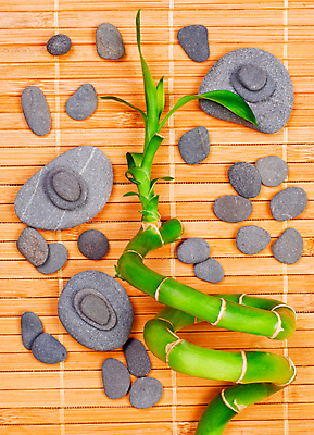 포토 JPG 해외이미지 나무 식물 선 줄기 잎 휴식 동양인 사람없음 장식 초록색 물 빛 평화 우주 정원 스파 봄 거품 성장 조약돌 흰색 물방울 신선 숲 대나무 순수 명상 테라피 내추럴 고립 해외202004 해외포토 자연요소 계절 컬러 컨셉 인종 뷰티 돌_바위 파일형식 이미지허브