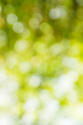 포토 JPG 해외이미지 사람없음 초록색 소프트포커스 보케 빛망울 블러 블러효과 보케백그라운드 해외202004 해외포토 컬러 백그라운드 촬영기법 빛 파일형식 효과 이미지허브