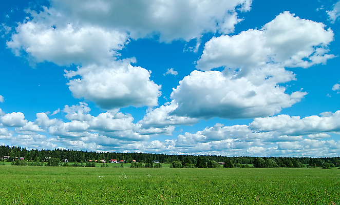 포토 JPG 해외이미지 식물 구름 계절 백그라운드 밭 농업 자연 하늘 날씨 풍경 잔디 사람없음 야외 가로 초록색 여름 파란색 햇빛 우주 환경 맑음 침묵 활발 시골 허브 그림 심플 조경 장면 천국 무한 평야 수평선 해외202004 해외포토 자연요소 산업 컬러 컨셉 태양 소리 생태계 파일형식 이미지허브