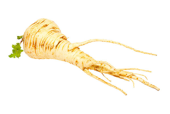 포토 JPG 해외이미지 식물 음식 농업 다이어트 채소 재료 자연 건강 요리 사람없음 컬러풀 노란색 샐러드 흰색 신선 시장 닫기 순수 오브젝트 싱글 유기농 날것 뿌리 섬유 내추럴 점심식사 고립 숙성 영양소 채식주의자 해외202004 해외포토 웰빙 산업 컬러 컨셉 모션 식사 직물 생태계 채식 파일형식이미지허브 