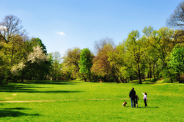 포토 JPG 해외이미지 나무 계절 공원 꽃 행복 어린이 잎 밭 가족 자연 하늘 날씨 사람 풍경 사람없음 야외 목재 초록색 여름 파란색 컬러풀 햇빛 맑음 봄 트래킹 하이킹 벚꽃 시골 개화 개 땅 순수 해외202004 해외포토 식물 공공시설 감정 컬러 컨셉 농업 재료 포유류 관계 레저 태양 생태계 파일형식 이미지허브