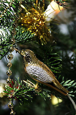 포토 JPG 해외이미지 나무 크리스마스장식 크리스마스 유리 조류 전등 새로움 새해 매달리기 사람없음 장식 초록색 빛 장난감 투명 황금 은색 크리스탈 연도 해외202004 해외포토 식물 동물 기념일 컬러 컨셉 모션 재질 조명 광석 파일형식 이미지허브