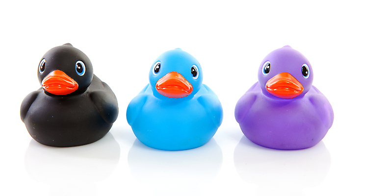 포토 JPG 해외이미지 동물 놀이 조류 오리 3 사람없음 파란색 장난감 보라색 검은색 수영 목욕 아기 빨래 플라스틱 오브젝트 고무 걸음마 고립 해외202004 해외포토 컬러 가사 모션 재질 사람 청결 수상스포츠 파일형식 이미지허브