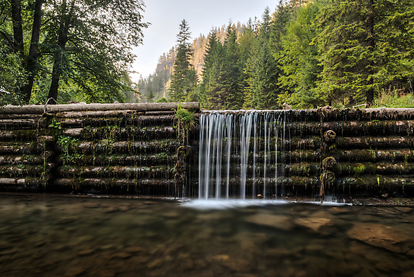 포토 JPG 해외이미지 나무 식물 공원 야생동물 잎 자연 표면 이끼 풍경 사람없음 야외 초록색 물 여름 강 햇빛 평화 침묵 봄 폭포 젖음 흐름 가을 바위 개울 급류 연기 숲 장노출 내추럴 해외202004 해외포토 자연요소 동물 계절 공공시설 컬러 컨셉 촬영기법 태양 소리 돌_바위 생태계 파일형식 이미지허브