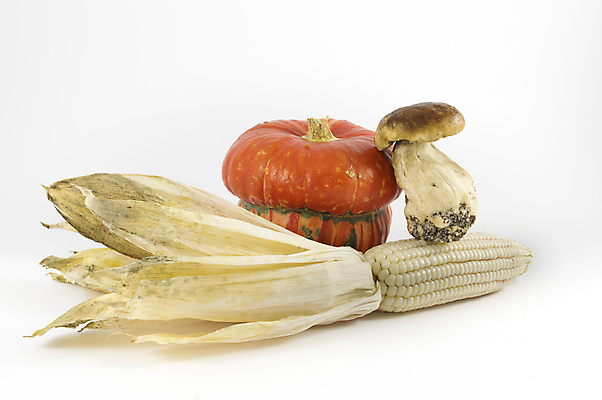 포토 JPG 해외이미지 계절 음식 백그라운드 밭 농업 채소 오렌지 과일 자연 호박 휴가 건강 옥수수 사람없음 장식 빨간색 컬러풀 갈색 노란색 정원 버섯 수확 가을 흰색 신선 먹기 유기농 고립 그런지 해외202004 해외포토 웰빙 산업 컬러 모션 곡류 생태계 파일형식 이미지허브