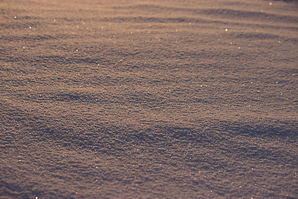 포토 JPG 해외이미지 계절 분홍색 백그라운드 크리스마스 겨울 자연 표면 날씨 추상 불꽃 새로움 새해 사람없음 파란색 빛 반짝임 햇빛 우주 맑음 냉동 얼음 일몰 추위 흰색 신선 눈송이 은색 시원함 12월 크리스탈 순수 질감 서리 부드러움 1월 내추럴 눈내림 해외202004 해외포토 자연요소 기념일 컬러 컨셉 무늬 모션 불 눈_날씨 태양 노을 감각 날짜 광석 생태계 파일형식 이미지허브