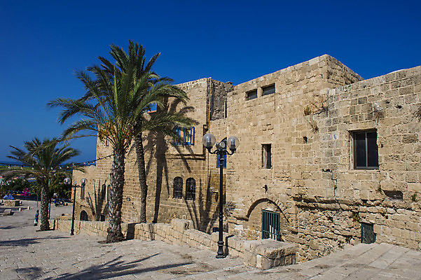 포토 JPG 해외이미지 나무 벽 여행 건축양식 휴가 주택 손바닥 사람없음 건물 빛 문 골동품 도시 중세 역사 지중해 좁은 타운 동쪽 옛날 이스라엘 해외202004 해외포토 식물 건축물 손 건축 바다 방향 서아시아 파일형식 이미지허브