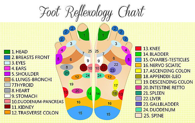 포토 JPG 해외이미지 지도 신체 사람없음 약 머리 하트 마사지 신장 어깨 간 귀 무릎 방광 췌장 돌봄 양발 지라 해외202004 해외포토 모양 의학 모션 신체부위 장기_의학 비뇨기관 파일형식 이미지허브