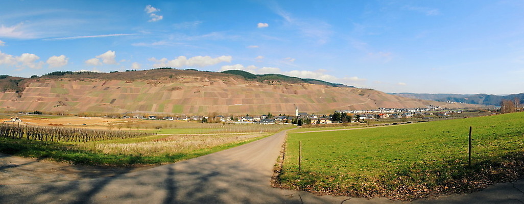 포토 JPG 해외이미지 도로 주택 독일 파노라마 풍경 사람없음 마을 와인 봄 포도밭 포도나무 방법 해외202004 해외포토 계절 유럽 길 밭 교통시설 주류 촬영기법 건물 과일나무 파일형식 이미지허브
