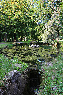 포토 JPG 해외이미지 나무 공원 호수 잎 자연 표면 풍경 사람없음 초록색 소풍 가을 연못 숲 해외202004 해외포토 식물 계절 공공시설 컬러 야외활동 생태계 파일형식 이미지허브