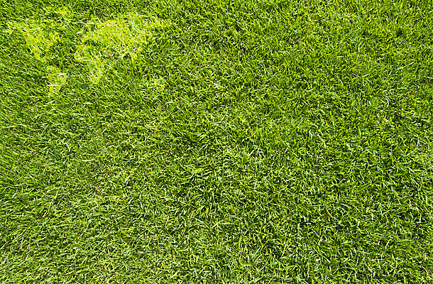 포토 JPG 해외이미지 식물 아이콘 라이프스타일 공원 지구 백그라운드 잎 지도 패턴 밭 자연 벽지 추상 새로움 프레임 풍경 잔디 사람없음 초록색 세계 환경 성장 신선 땅 허브 질감 내추럴 그리너리 해외202004 해외포토 공공시설 컬러 컨셉 무늬 농업 생활 생태계 파일형식 트랜드컬러 이미지허브