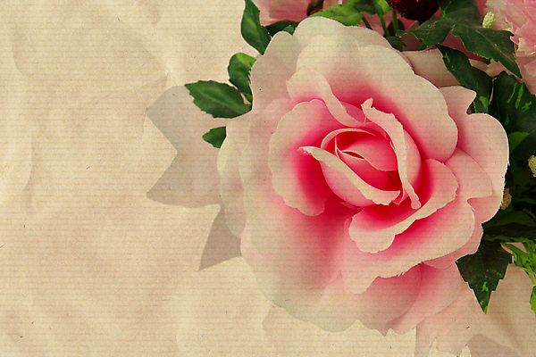 포토 JPG 해외이미지 전통 디자인 꽃 유럽 종이 음료 섬 백그라운드 꽃무늬 가정 유리 휴가 주택 미술 사람없음 장식 여름 파란색 농작물 컬러풀 장미 마을 봄 덮개 발코니 시골 냄비 상품 크리스탈 그리스 오브젝트 복고 함선 산토리니 그리스인 거짓 옛날 인공 캡모자 핸드메이드 해외202004 해외포토 서양인 식물 모자_잡화 계절 나라 컬러 무늬 농업 배_교통 재질 문화예술 건물 뚜껑 솥 광석 파일형식 이미지허브