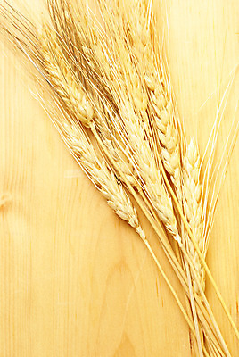 포토 JPG 해외이미지 식물 계절 음식 줄기 백그라운드 농업 자연 수염 건조 건강 씨앗 사람없음 목재 농작물 농장 노란색 수확 성장 황금 닫기 낟알 시리얼 밀 묘사 유기농 스파이크 밀짚 내추럴 밭일 숙성 호밀 귀리 해외202004 해외포토 나무 웰빙 산업 컬러 재료 모션 곡류 짚 생태계 파일형식 이미지허브