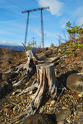 포토 JPG 해외이미지 나무 선 자연 산 프레임 건조 풍경 사람없음 목재 환경 금속 힘 손상 바위 기둥 숲 러시아 철사 생태학 옛날 해외202004 해외포토 식물 교육 건축 유럽 컨셉 재료 재질 돌_바위 생태계 파일형식 이미지허브