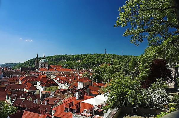 포토 JPG 해외이미지 나무 유럽 여행 잎 오렌지 건축양식 하늘 지붕 거리 주택 사람없음 건물 초록색 파란색 교회 탑 수확 도시 중세 역사 중앙 복고 정사각형 체코 프라하 타운 동쪽 공화국 바실리카 보헤미아 옛날 해외202004 해외포토 도형 식물 건축물 건축 나라 컬러 농업 과일 종교건축 방향 파일형식 이미지허브