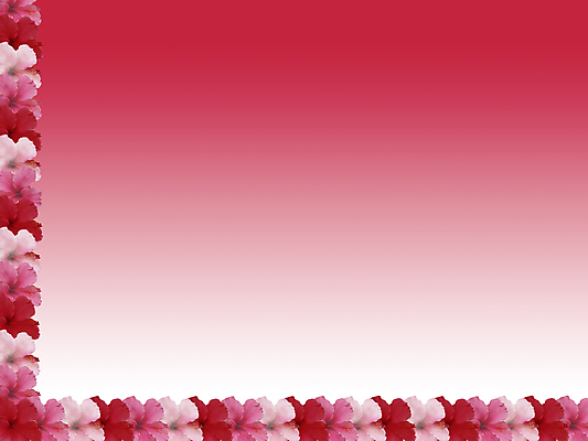 포토 JPG 해외이미지 꽃 감정 분홍색 백그라운드 자연 프레임 사랑 사람없음 장미 중국 기쁨 초대 반가움 순간 히비스커스 해외202004 해외포토 식물 아시아 컬러 생태계 파일형식 이미지허브