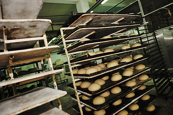 포토 JPG 해외이미지 빵 공장 쟁반 실내 사람없음 카트 저장 진열장 일렬 해외202004 해외포토 음식 공업 내부 파일형식 이미지허브