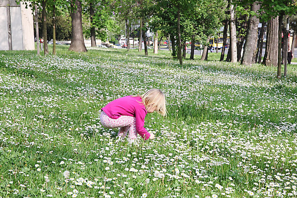 포토 JPG 해외이미지 백인 공원 여자 꽃 행복 얼굴 어린이 놀이 한명 사람 야외 초록색 금발 게임 숲 민들레 걸음마 천진난만 해외202004 해외포토 서양인 식물 1 헤어스타일 공공시설 감정 컬러 컨셉 모션 신체부위 파일형식 이미지허브
