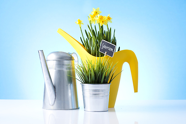 포토 JPG 해외이미지 식물 꽃 화분 장갑 잎 농업 자연 사람없음 노란색 흙 봄 공구 모종삽 삽 허브 물주기 원예 수선화 로즈메리 돌봄 세이지 해외202004 해외포토 잡화 계절 산업 컬러 모션 취미 도구 생태계 파일형식 이미지허브