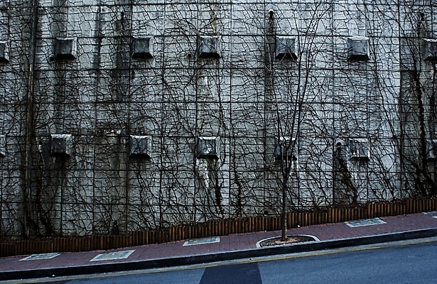 포토 JPG 주간 시설물 건축물 건축 아시아 길 벽 외국문화 배경화면 백그라운드 고건축 해외건축 풍경 사람없음 야외 건물 담장 동양건축 보행로 인도문화 인도건축 국내포토 자연요소 동양문화 해외 나라 문화 인도_나라 파일형식 동양