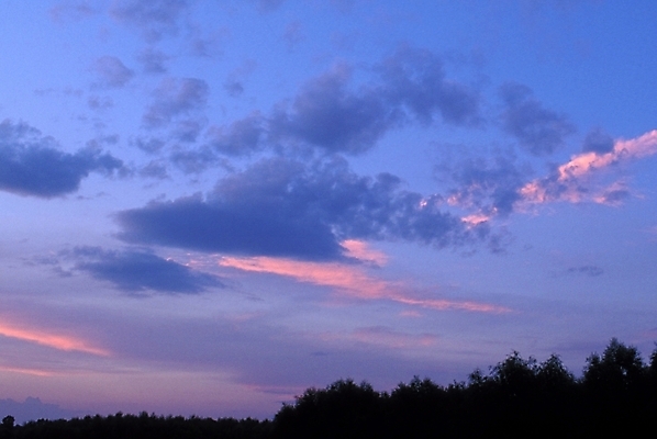 포토 JPG 주간 나무 구름 해외풍경 해외 유럽 외국문화 자연 하늘 풍경 사람없음 야외 일출 일몰 러시아 국내포토 자연요소 식물 나라 문화 노을 생태계 파일형식
