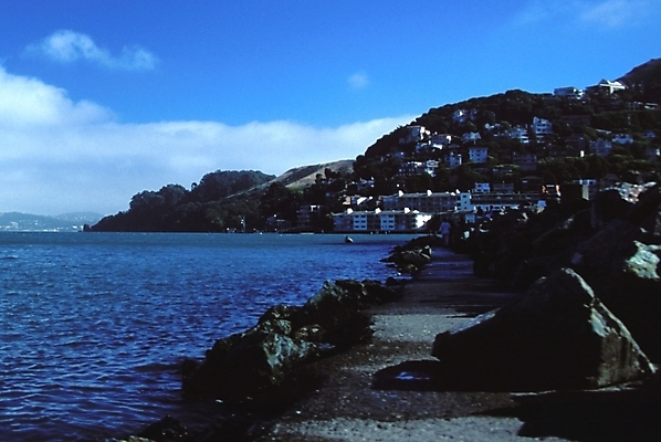 포토 JPG 주간 구름 해외풍경 해외 바다 섬 자연 하늘 풍경 사람없음 야외 샌프란시스코 국내포토 자연요소 생태계 파일형식