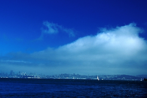 포토 JPG 주간 구름 해외풍경 해외 바다 자연 하늘 풍경 사람없음 야외 샌프란시스코 국내포토 자연요소 생태계 파일형식