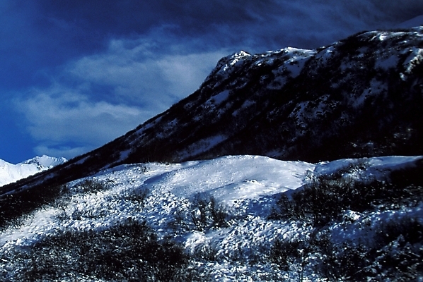 포토 JPG 주간 해외풍경 사계절 계절 외국문화 북아메리카 설경 겨울 자연 하늘 산 아메리카 풍경 사람없음 야외 미국 눈 알래스카 국내포토 자연요소 해외 문화 날씨 대륙 생태계 파일형식