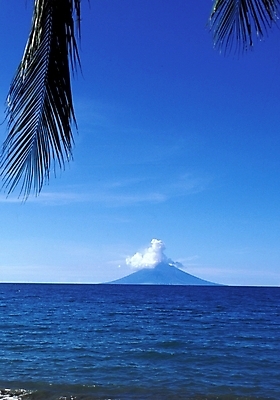 포토 JPG 주간 해외풍경 해외 바다 여행 자연 하늘 풍경 사람없음 야외 야자수 휴양지 파푸아뉴기니 뉴기니 국내포토 자연요소 나무 장소 오세아니아 생태계 파일형식