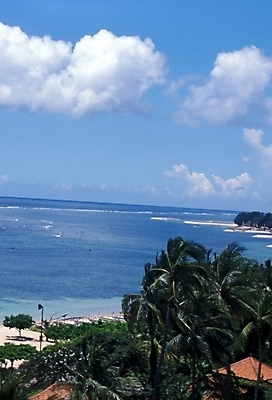 포토 JPG 주간 나무 식물 구름 해외풍경 바다 여행 자연 하늘 풍경 사람없음 야외 관광지 야자수 휴양지 파푸아뉴기니 뉴기니 국내포토 자연요소 해외 장소 오세아니아 생태계 파일형식
