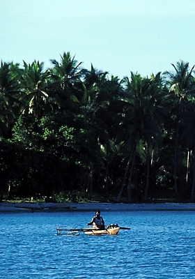 포토 JPG 주간 나무 식물 해외풍경 해외 바다 여행 자연 하늘 풍경 야외 야자수 휴양지 파푸아뉴기니 뉴기니 국내포토 자연요소 장소 오세아니아 생태계 파일형식