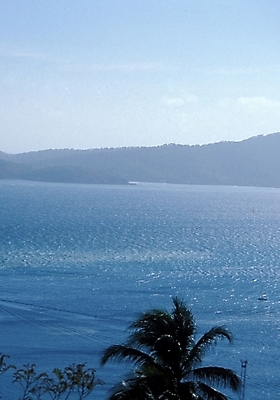 포토 JPG 주간 나무 식물 해외풍경 해외 바다 여행 자연 하늘 풍경 사람없음 야외 야자수 휴양지 파푸아뉴기니 뉴기니 국내포토 자연요소 장소 오세아니아 생태계 파일형식