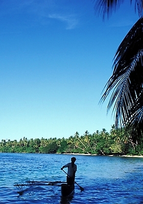 포토 JPG 주간 나무 식물 구름 해외풍경 해외 바다 자연 하늘 풍경 야외 야자수 휴양지 파푸아뉴기니 뉴기니 국내포토 자연요소 장소 오세아니아 생태계 파일형식