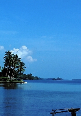 포토 JPG 주간 나무 식물 구름 해외풍경 해외 바다 자연 하늘 풍경 사람없음 야외 야자수 휴양지 파푸아뉴기니 뉴기니 국내포토 자연요소 장소 오세아니아 생태계 파일형식