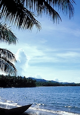 포토 JPG 주간 나무 식물 구름 해외풍경 해외 바다 자연 하늘 풍경 사람없음 야외 야자수 휴양지 파푸아뉴기니 뉴기니 국내포토 자연요소 장소 오세아니아 생태계 파일형식