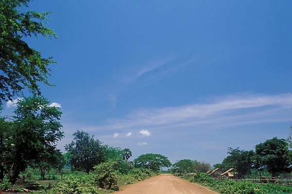 포토 JPG 주간 나무 구름 해외풍경 아시아 길 외국문화 자연 하늘 풍경 사람없음 야외 동남아시아 캄보디아 흙길 국내포토 자연요소 식물 해외 나라 문화 흙 생태계 파일형식