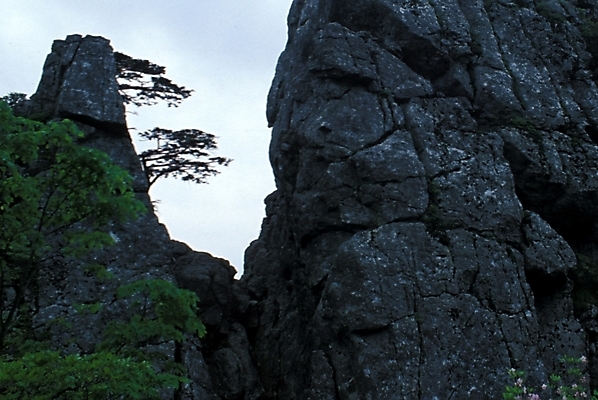 포토 JPG 주간 나무 해외풍경 자연 바위산 산 풍경 사람없음 야외 절벽 암벽 기암절벽 국내포토 자연요소 식물 해외 돌산 생태계 파일형식