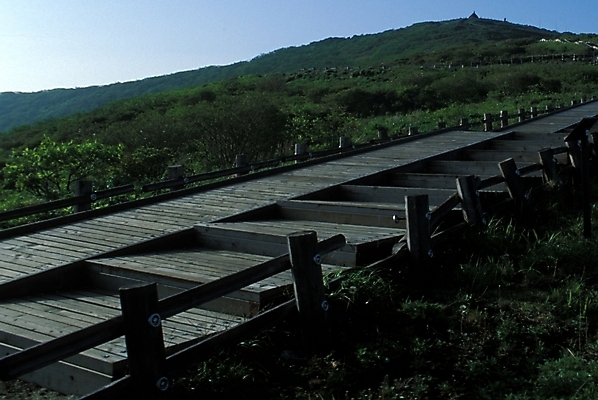 포토 JPG 주간 길 자연 산 풍경 초원 사람없음 야외 산책로 언덕 등산로 나무길 국내포토 자연요소 등산 생태계 파일형식