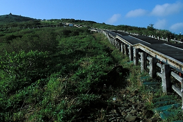 포토 JPG 주간 길 자연 산 풍경 초원 사람없음 야외 산책로 언덕 등산로 나무길 국내포토 자연요소 등산 생태계 파일형식
