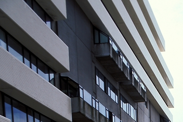 포토 JPG 주간 해외풍경 시설물 건축물 현대건축 건축 외국문화 아파트 사람없음 야외 건물 오세아니아 뉴질랜드 뉴질랜드문화 분양 국내포토 자연요소 해외 나라 문화 부동산 주택 풍경 서양문화 파일형식