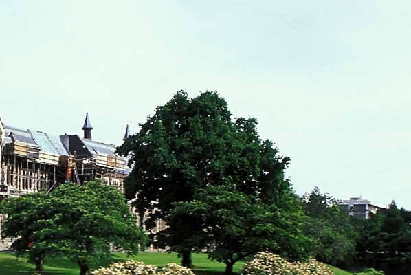 포토 JPG 주간 나무 식물 해외풍경 해외 건축물 건축 외국문화 해외여행 여행 자연 하늘 공사 풍경 사람없음 야외 건물 오세아니아 뉴질랜드 뉴질랜드문화 국내포토 자연요소 나라 문화 건설업 생태계 서양문화 파일형식