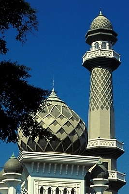 포토 JPG 주간 해외풍경 시설물 건축물 건축 아시아 외국문화 여행 고건축 유적 해외건축 사람없음 야외 관광지 탑 동양건축 문화재 사찰 사원 인도 이슬람교 인도문화 인도건축 힌두사원 국내포토 자연요소 동양문화 전통 해외 나라 종교 문화 비즈니스 종교건축 풍경 인도_나라 힌두교 파일형식 동양