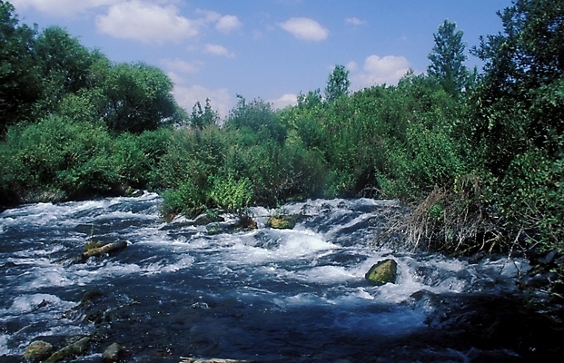 포토 JPG 주간 해외풍경 외국문화 자연 산 풍경 사람없음 야외 계곡 급류 숲 이스라엘 국내포토 자연요소 해외 문화 생태계 서아시아 파일형식